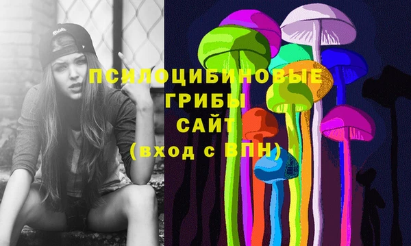 mix Белокуриха