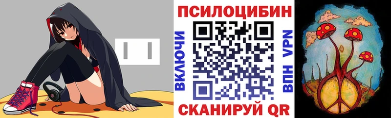Псилоцибиновые грибы MAGIC MUSHROOMS  Ершов 