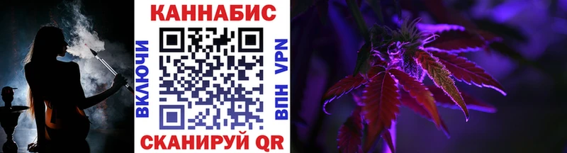 Бошки Шишки семена  OMG   Ершов 